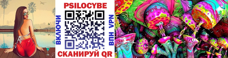 купить наркоту  Мирный  Псилоцибиновые грибы Psilocybine cubensis 