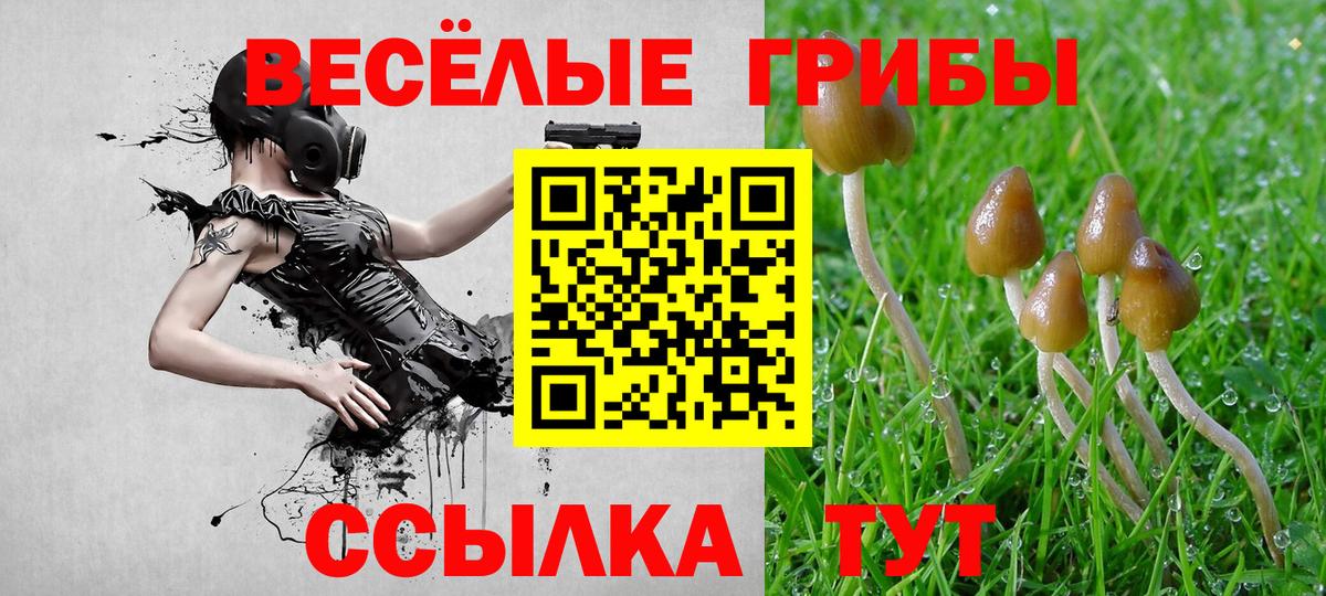 Мирный  Галлюциногенные грибы прущие грибы  Псилоцибиновые грибы прущие грибы  Вход с VPN 