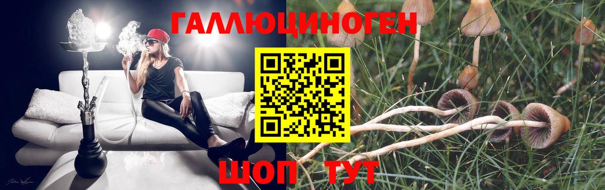 Галлюциногенные грибы ЛСД Мирный